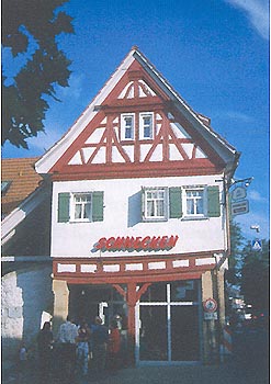 Schnecken -neu